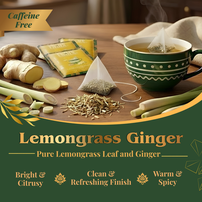 Pride of India Lemongrass Ginger Herbal Tea - 150 Individually Wrapped Full Leaf Pyramid Tea Bags | Refreshing Tea Bulk Pack for Food Service, Cafes, Hotels, Offices & Daily Tea Drinkers