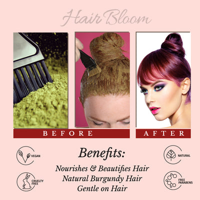 Hair Bloom Natural Burgundy Hair Color- Herbal Henna Burgundy Hair Color Powder- 12 individual sachets (10 gm each)- Reusable Brush & Tray Included - Pride Of India