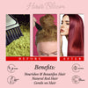 Hair Bloom Natural Red Hair Color- Henna w/ Mixed Himalayan Herbs Hair Color Powder- 12 Individual Sachets (10 gm each)- Reusable Brush & Tray Included - Pride Of India