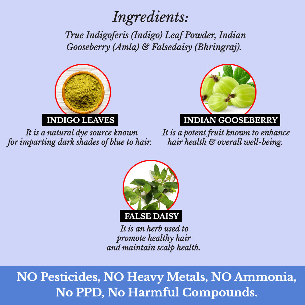 Hair Bloom Natural Blue Black Hair Color- Herbal Indigo w/ False Daisy & Gooseberry Hair Color Powder- 12 individual sachets (10 gm each)- Reusable Brush & Tray Included - Pride Of India