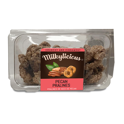 Milkylicious - Cinnamon Glazed Nuts - Pride Of India